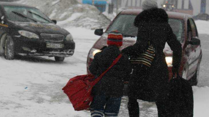 МЧС объявило в Брянской области предупреждение из-за снегопада