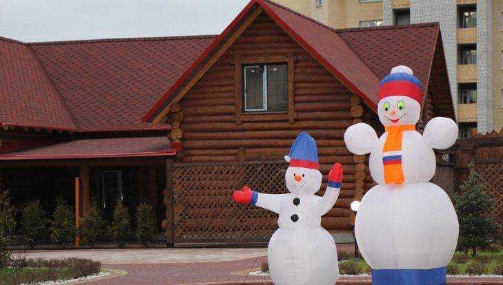 Новогодний Брянск очаровал фотографов цветом и снегом
