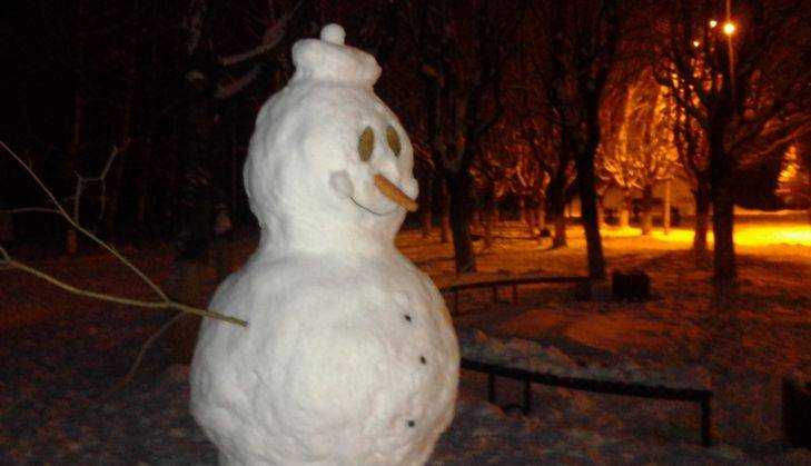 В Брянске площадь Воинской славы оккупировали миролюбивые снеговики