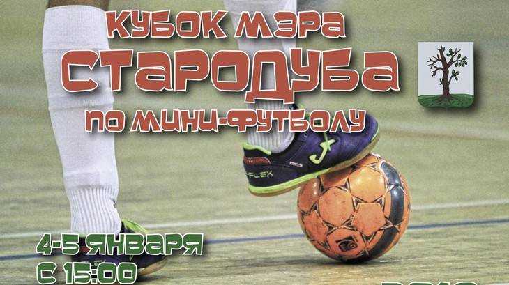 В Стародубе 4 и 5 января разыграют кубок мэра по мини-футболу