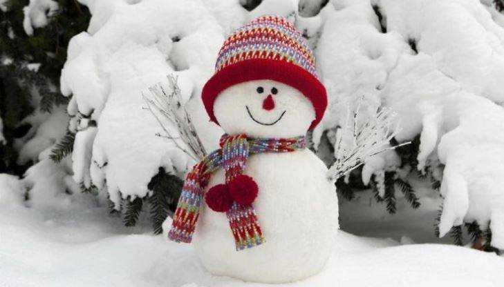 В Брянске необычные снеговики сразятся за победу в зимнем конкурсе