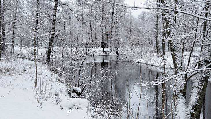 Брянскую область 28 января заметёт снегом