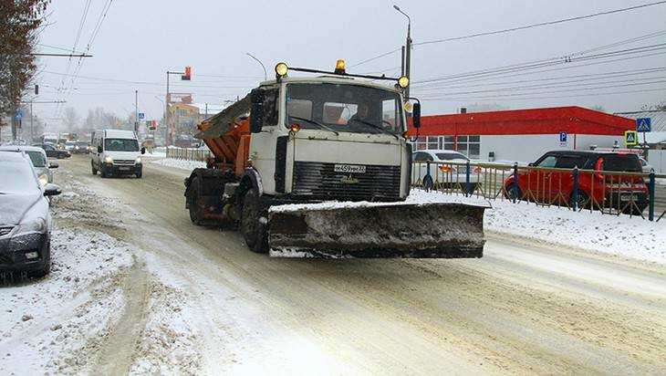 В Брянской области на круглосуточную битву со снегом вышли 229 машин