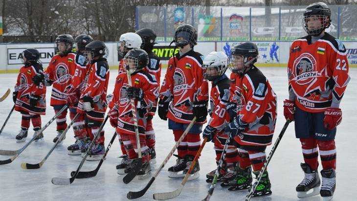 Добрушские «Ночные рыси» победили в открытом Кубке по хоккею с шайбой
