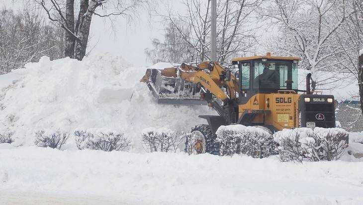 В Брянской области сельхозпредприятия помогли очистить дороги от снега