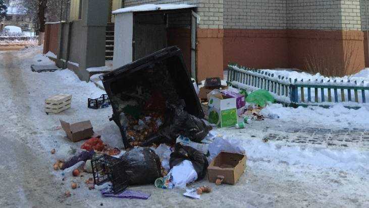 Житель Брянска пожаловался на мусор у магазина на улице Пушкина