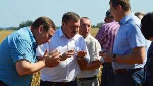 Брянская область получит 200 миллионов рублей на сельское хозяйство