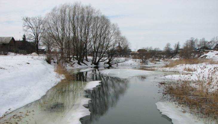 В Брянской области морозы сменит оттепель со снегом и дождём