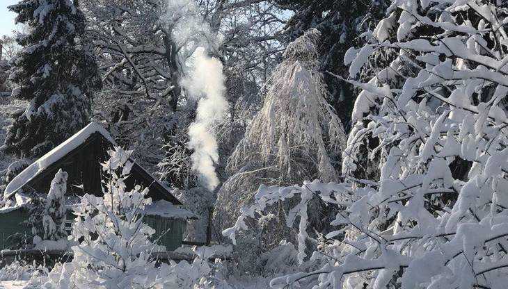 В Брянской области температура опустится до 28 градусов мороза