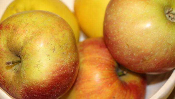 На брянском полигоне уничтожили 4 тонны капусты и яблок из Польши
