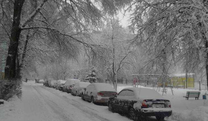На Брянщине МЧС объявило предупреждение из-за снегопадов 1 марта