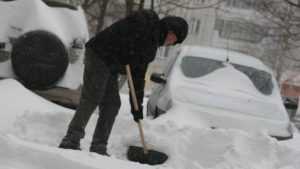 На уборку снега в Брянске вышли 75 машин – в Москве 10 тысяч