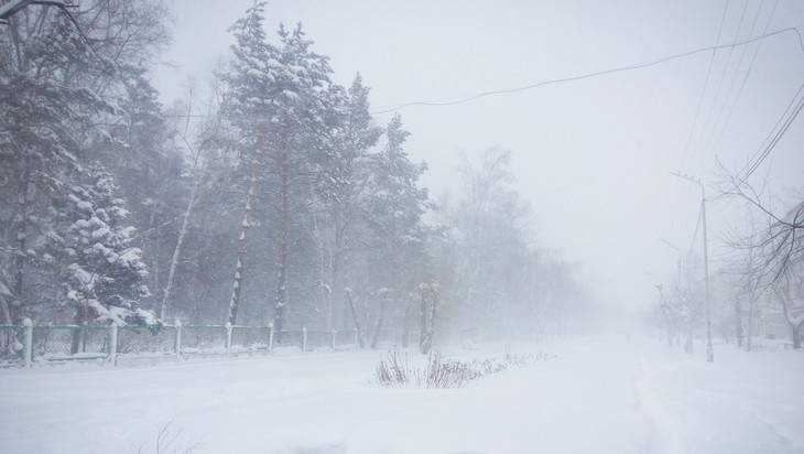 На Брянскую область 4 марта обрушатся снегопады