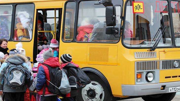 Брянская область получит 40 новых школьных автобусов