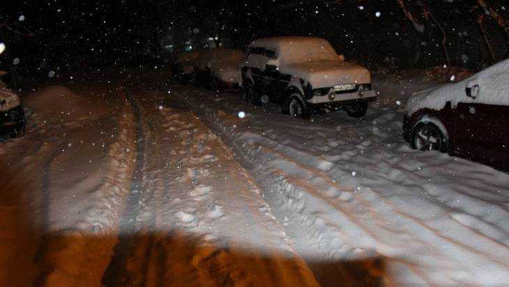 Брянск парализовало снегопадом – 400 тысяч горожан бездействуют 