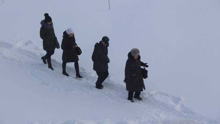В Брянске из-за снега началась война между нытиками и героями лопат