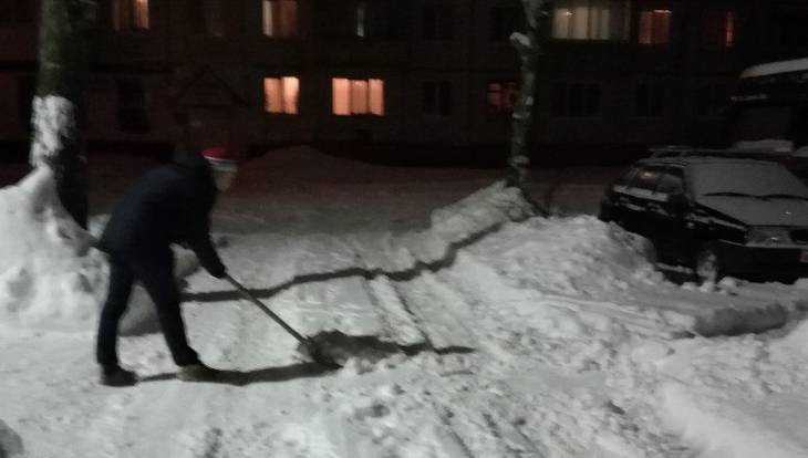 Брянский депутат взялся за лопату и очистил свой двор от снега