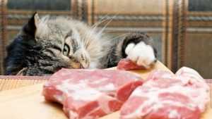 Брянские контролёры вернули Украине 414 кг сомнительных мяса и колбасы