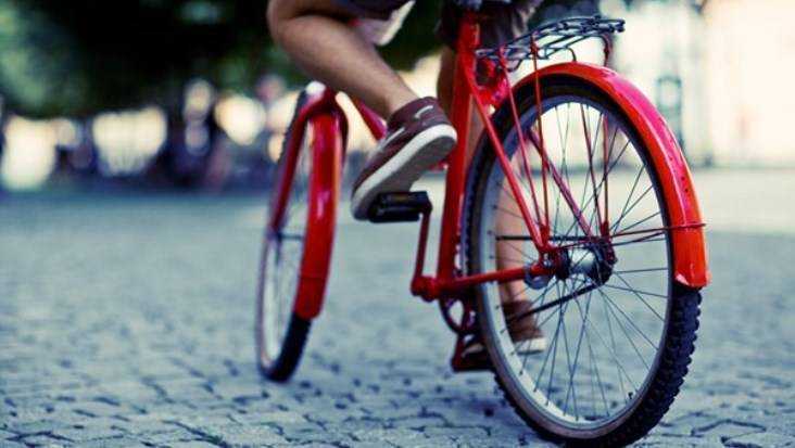 В Новозыбкове велосипедиста осудят за убийство неосторожного водителя