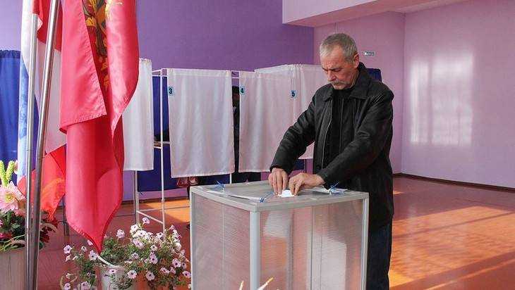 Брянский губернатор поручил очистить дороги к избирательным участкам
