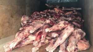 Брянские пограничники нашли 4 тонны мяса неведомого происхождения