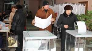 Белорусы нарушений на выборах в Брянской области не выявили