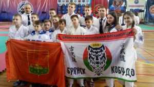 Брянские борцы завоевали 6 медалей на чемпионате России по кобудо