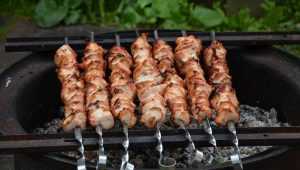 Роспотребнадзор опубликовал рекомендации по выбору мяса для шашлыка