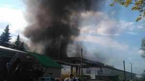 Брянское управление МЧС рассказало о крупном пожаре в поселке Большое Полпино