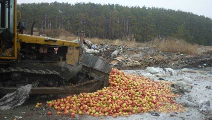 В Брянской области бульдозером раздавили 800 кг сомнительных яблок и груш