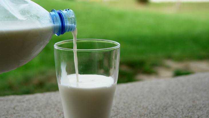 В Брянске запретят продажу молока с «пальмой» и сыра с сухим молоком