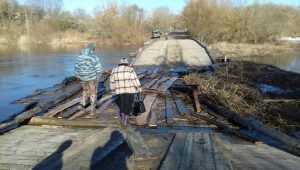В Почепском районе паводок разрушил понтонный мост на Судости