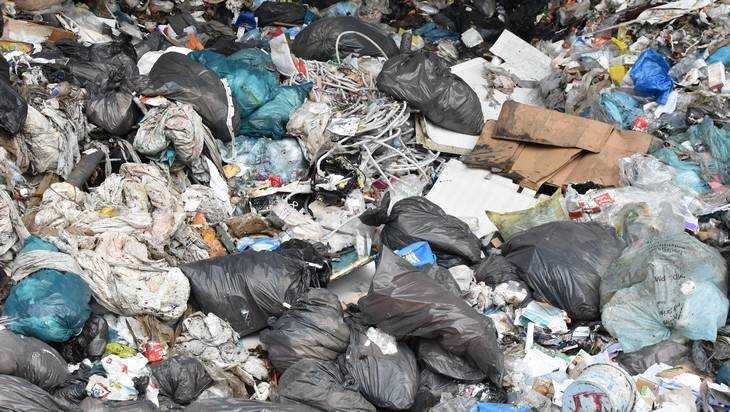В Брянской области приступят к раздельному сбору мусора