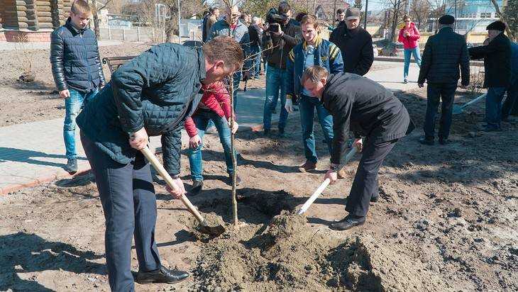 Руководители Брянска Макаров и Хлиманков посадили деревья у набережной