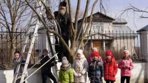 В Севске настоятель храма и дети установили кормушки и скворечники