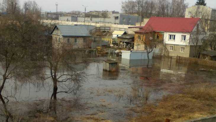 МЧС сообщило, что в Брянске вода в жилые дома не зашла