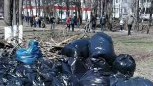 В Брянске владельцы магазинов после критики властей стали убирать мусор