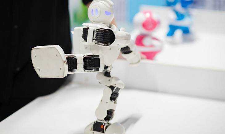 Выставка «Робополис»: тесла-шоу, нейрогаджеты и робот-предсказатель