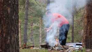 Для обнаружения пожаров в брянских лесах установят 42 видеокамеры
