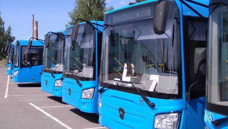 На улицы Брянска 1 июня выйдут 25 новых автобусов ЛиАЗ