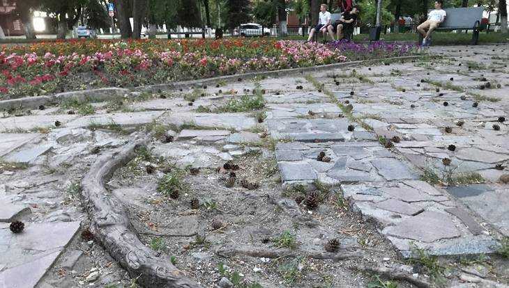 Корни вздыбили: в Брянске сквер создателя танка Т-34 стал каменоломней
