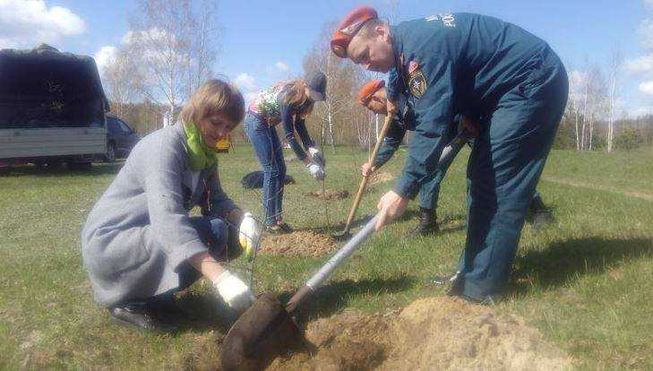 В Брянской области стартовала акция «Посади дерево»