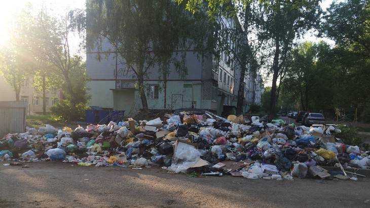 В Брянске после скандала убрали зловонную свалку на улице Костычева