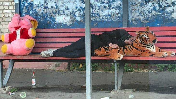 В Брянске на остановке мужчина уснул лежа на тигре
