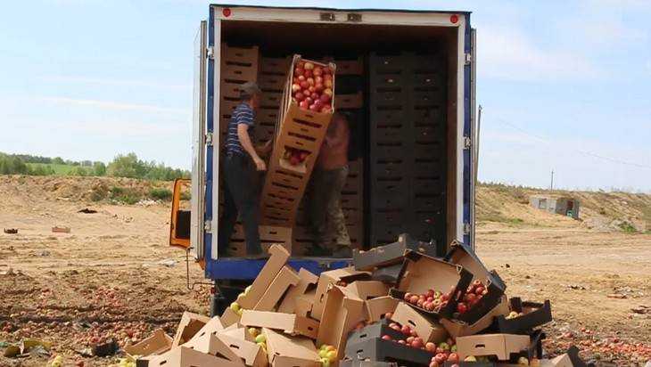 На брянском полигоне раздавили 21 тонну винограда, яблок и томатов