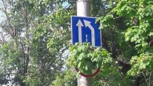 В Брянске дорожный знак стал головоломкой
