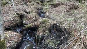 В Брянской области загрязнились грунтовые воды