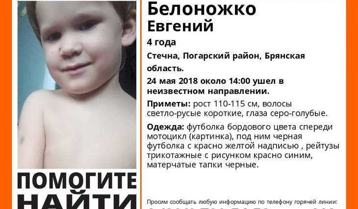 В Брянской области продолжились поиски пропавшего 4-летнего мальчика