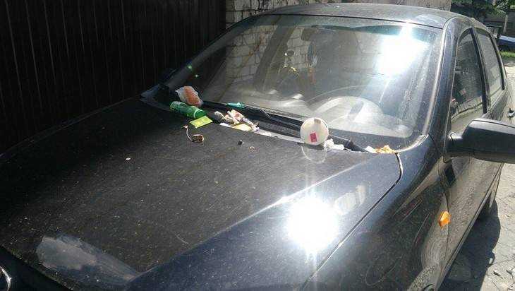 В Брянске мстители за парковку засыпали автомобиль мусором