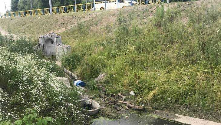 В Брянске из-за неудачной ливневой канализации затопило дачи